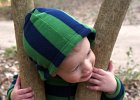 Hagen btw trees 1